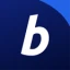 BitPay Wallet图标