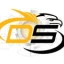 DS Security SA图标