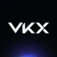 VKX WALLET图标